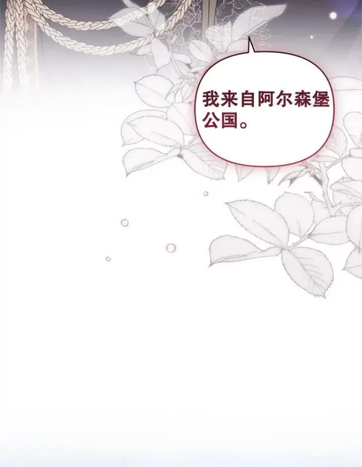 《恶女把男主捡回家》25.阿尔森堡公王图39