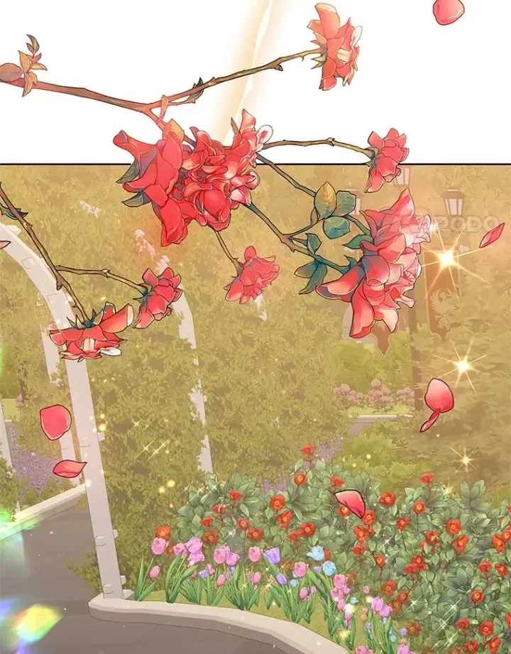 《恶女把男主捡回家》43.山茶花的花语图35