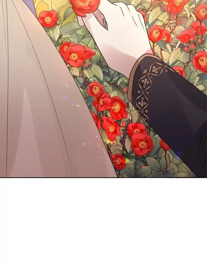 《恶女把男主捡回家》43.山茶花的花语图66