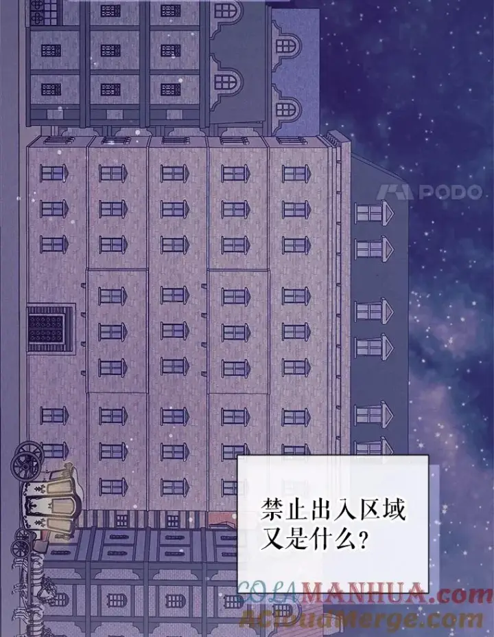 《恶女把男主捡回家》51.奇怪的府邸图101