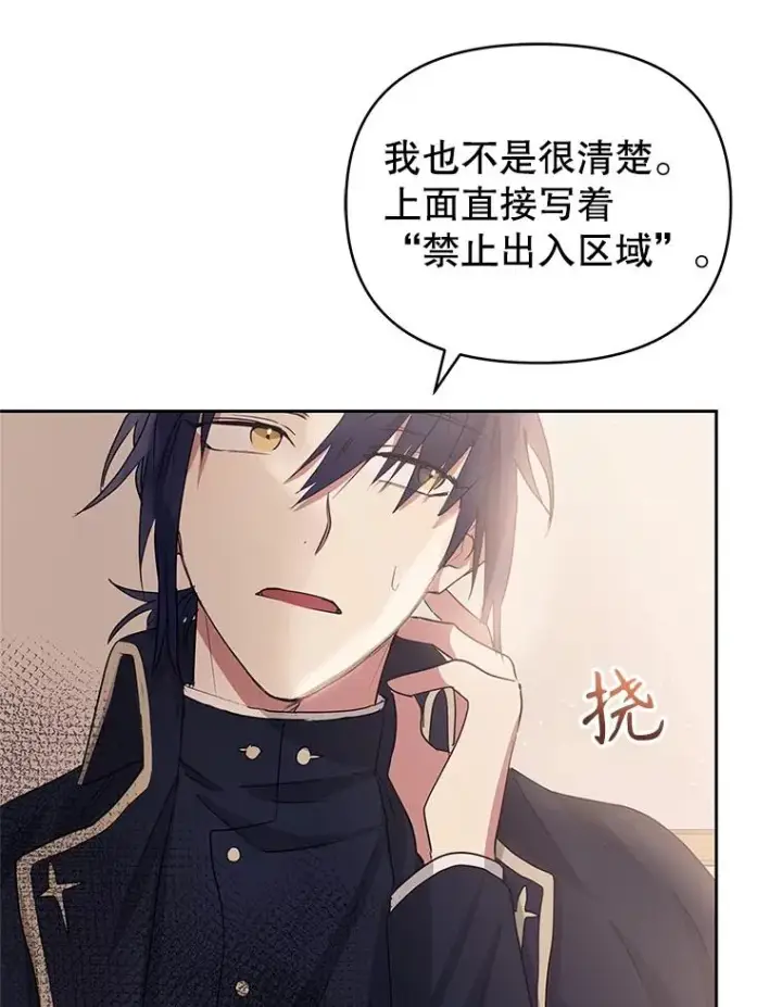 《恶女把男主捡回家》51.奇怪的府邸图95