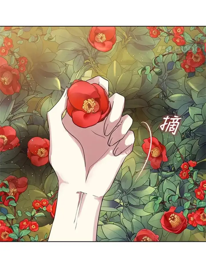 《恶女把男主捡回家》7.山茶花图112
