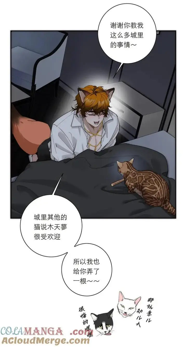 漫画《恩公不做文人雅士》第31话第37张图