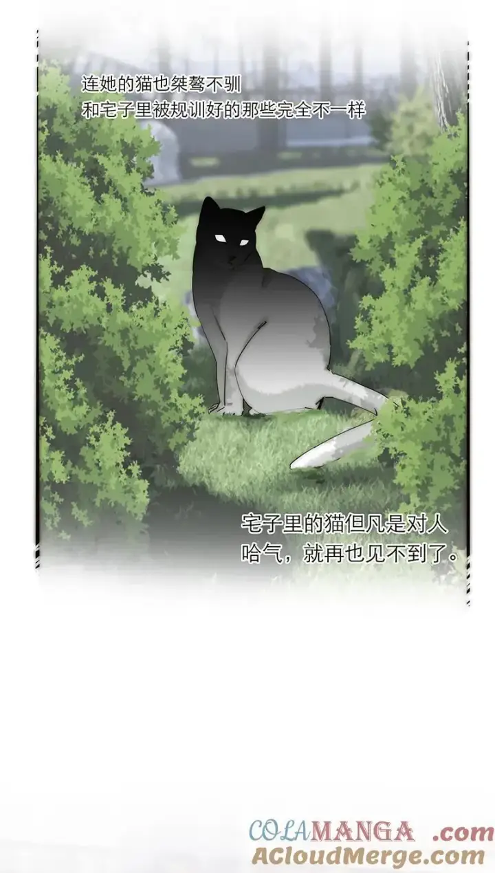 漫画《恩公不做文人雅士》第36话第19张图