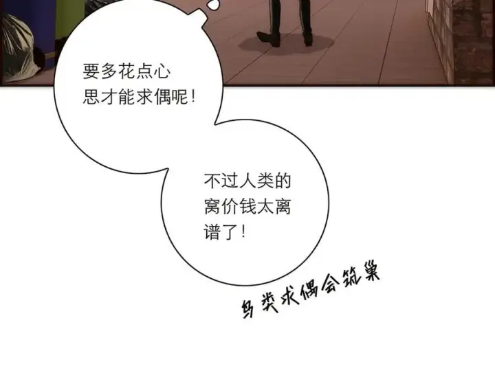 漫画《恩公不做文人雅士》第52话 鸦的报恩第52张图