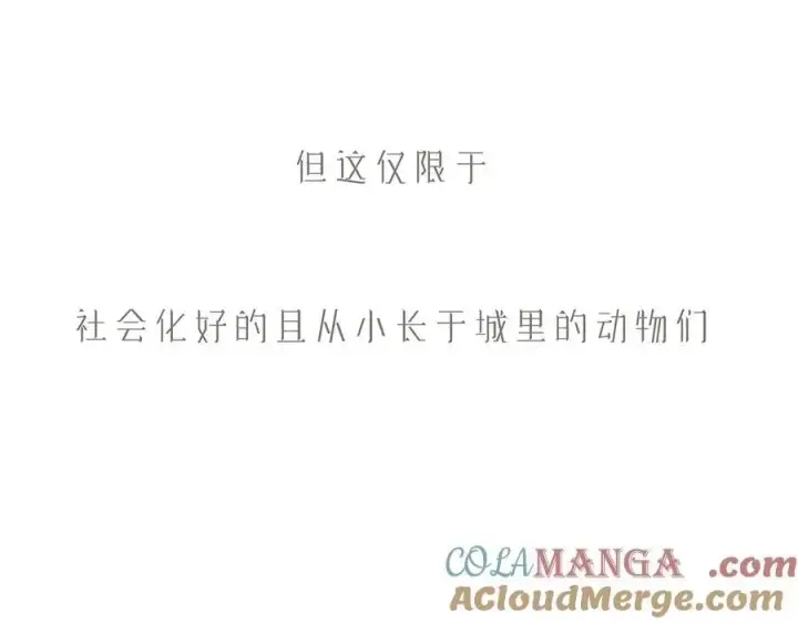漫画《恩公不做文人雅士》第83话 那个必然幸福的未来第121张图