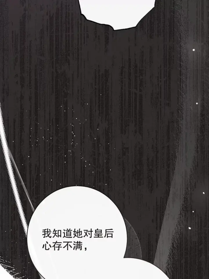 《恶女皇后的专属侍女》61.提交证据图114