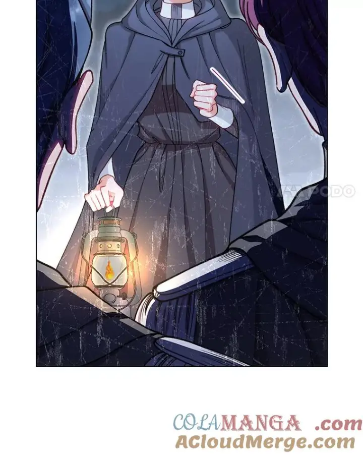 《恶女皇后的专属侍女》61.提交证据图21