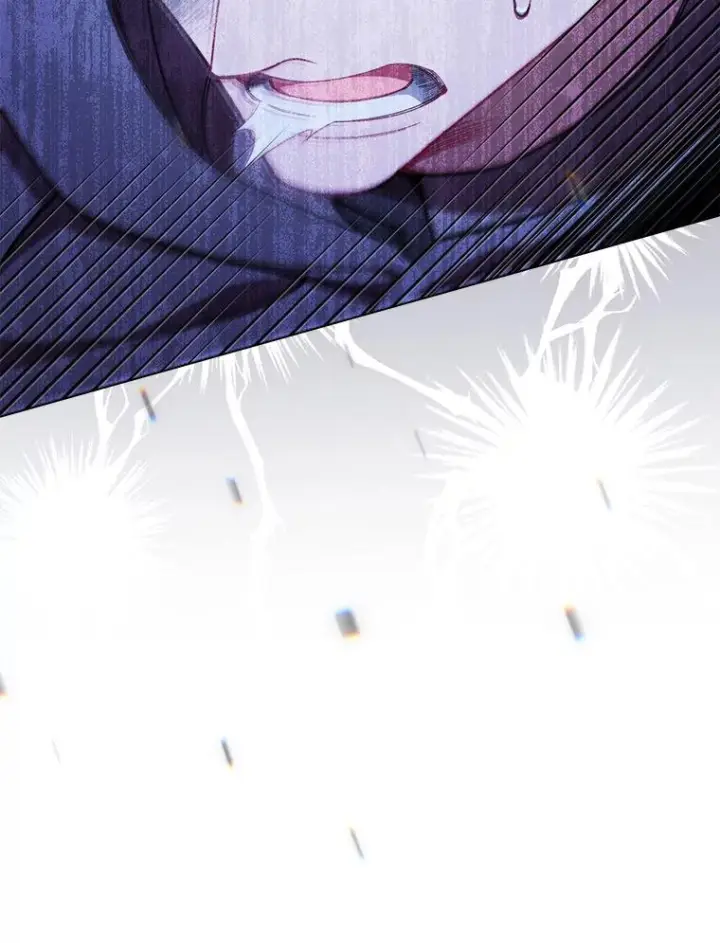 《恶女皇后的专属侍女》61.提交证据图39