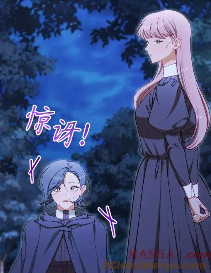 《恶女皇后的专属侍女》61.提交证据图45