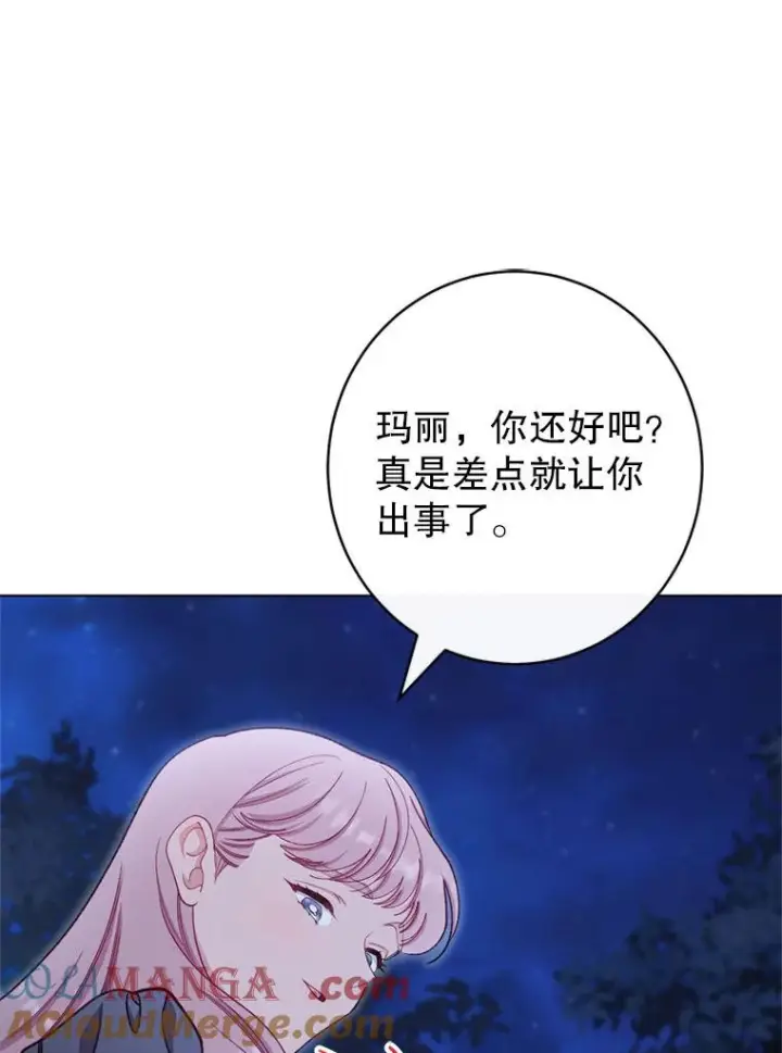 《恶女皇后的专属侍女》61.提交证据图49