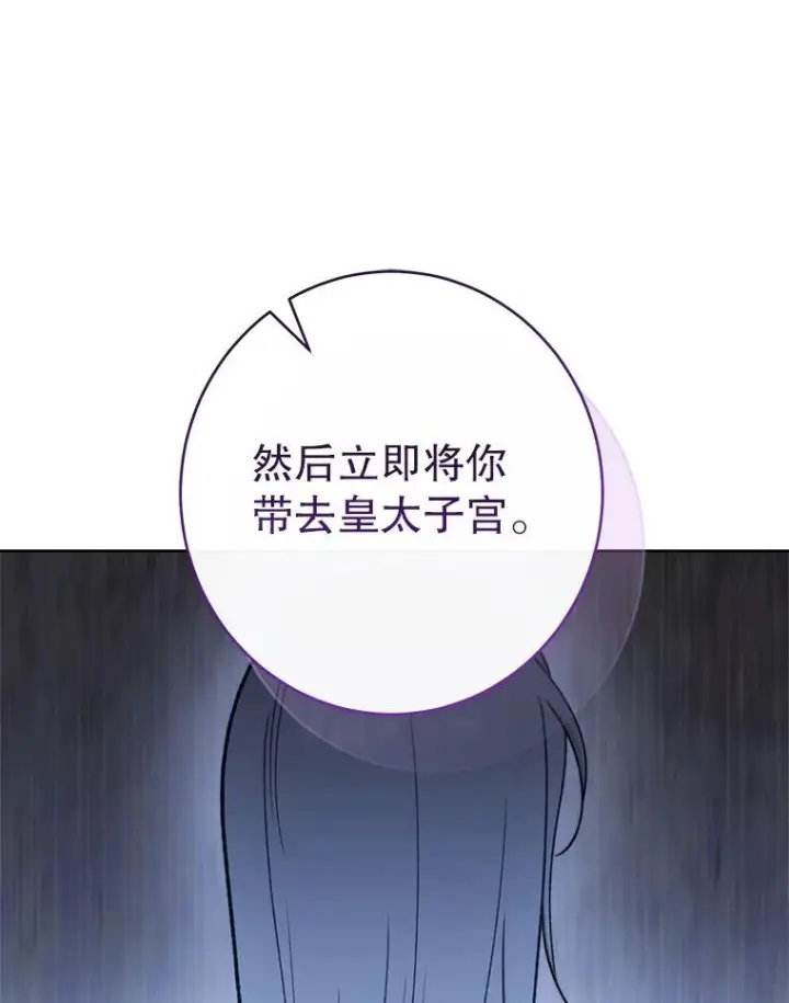 《恶女皇后的专属侍女》61.提交证据图58