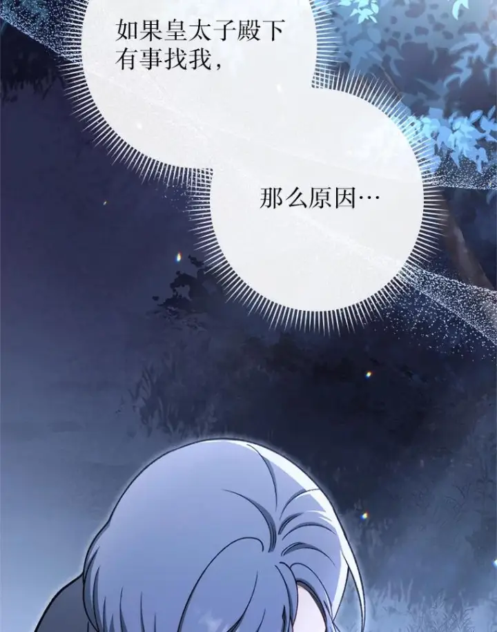 《恶女皇后的专属侍女》61.提交证据图63