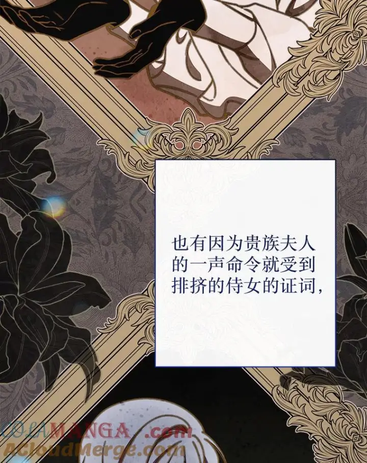 《恶女皇后的专属侍女》61.提交证据图85
