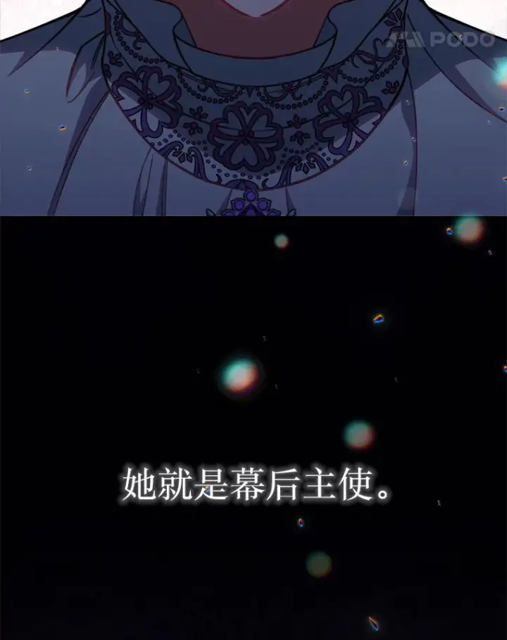 《恶女皇后的专属侍女》61.提交证据图91