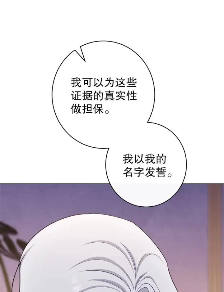 《恶女皇后的专属侍女》61.提交证据图95