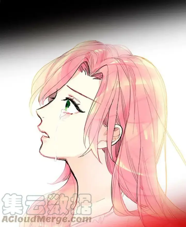 漫画《恶女保命计划》0.攻略男主第7张图