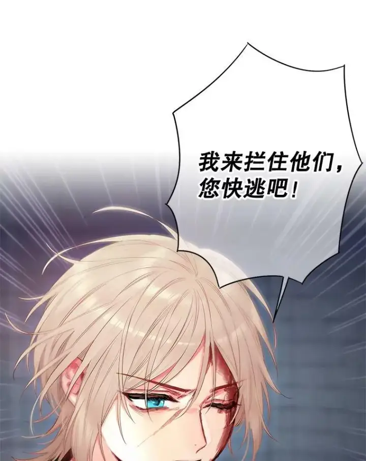 漫画《恶女保命计划》82.活下去的理由第29张图
