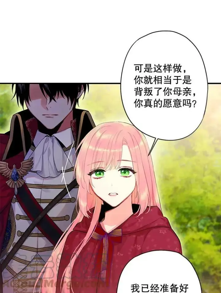 漫画《恶女保命计划》85.洗脱嫌疑第19张图
