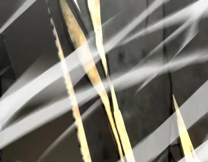 《二师兄是个凡人却很强》96全军出击图74