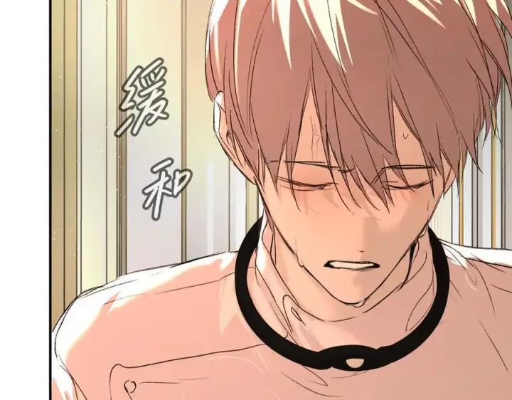 漫画《恶之环》53第191张图