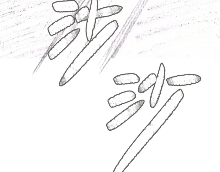 《恶之环》88图103