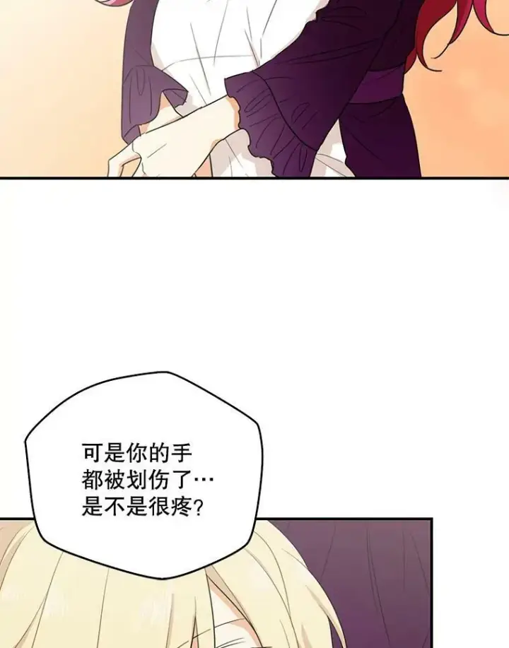 《反派的继母》9.意外图12