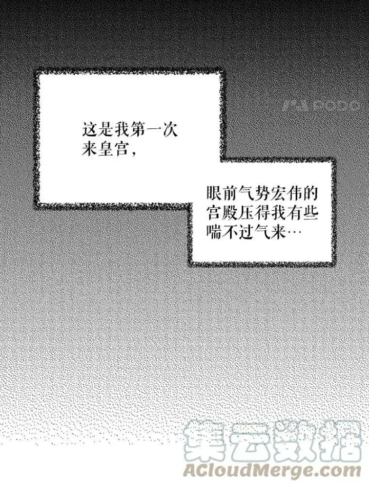 《反派的继母》19.皇宫觐见图4