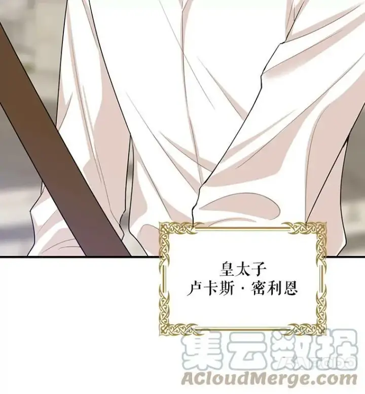 《反派的继母》20.男主角？图4