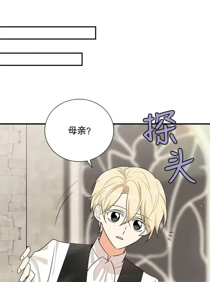《反派的继母》21.变数图14