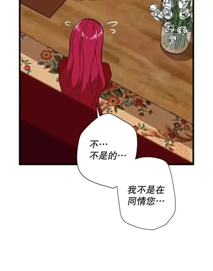 《反派的继母》35.所谓同情图32