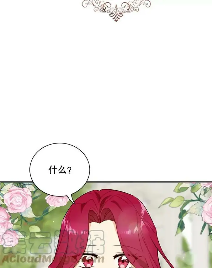 《反派的继母》47.魔力石图22
