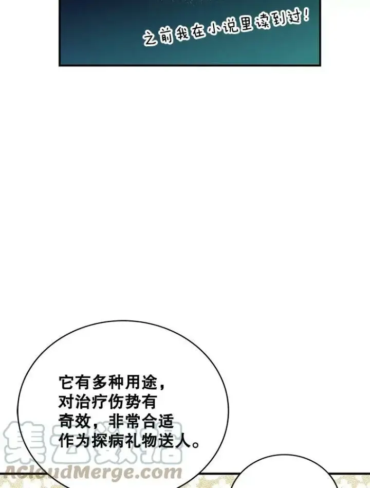 《反派的继母》47.魔力石图61