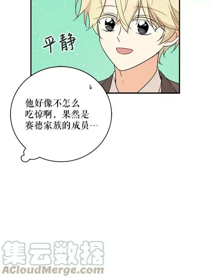 《反派的继母》47.魔力石图70