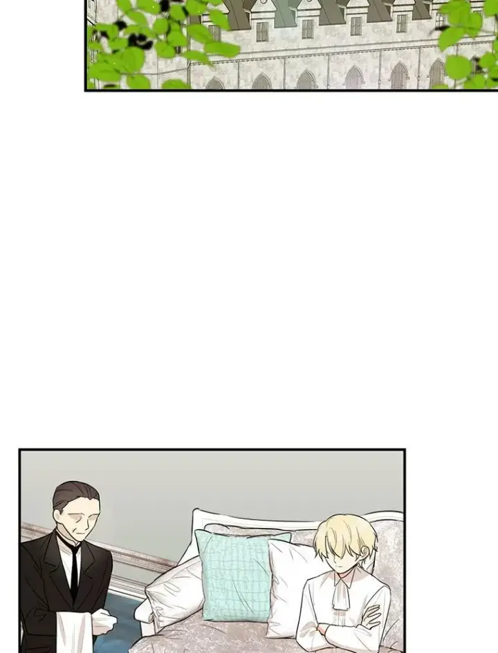 《反派的继母》47.魔力石图9