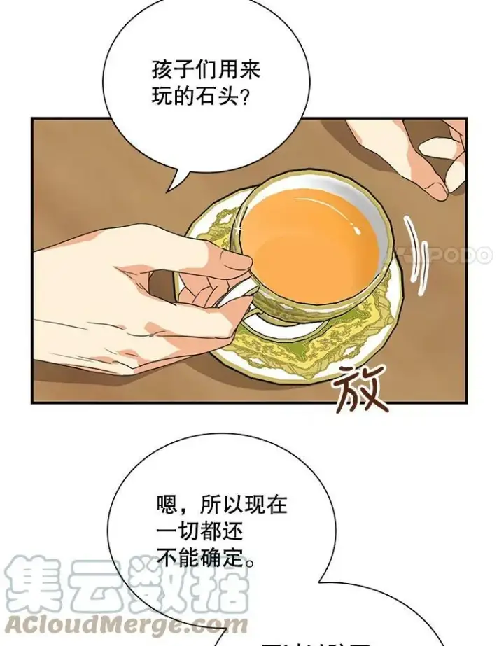 《反派的继母》61.幸福图61