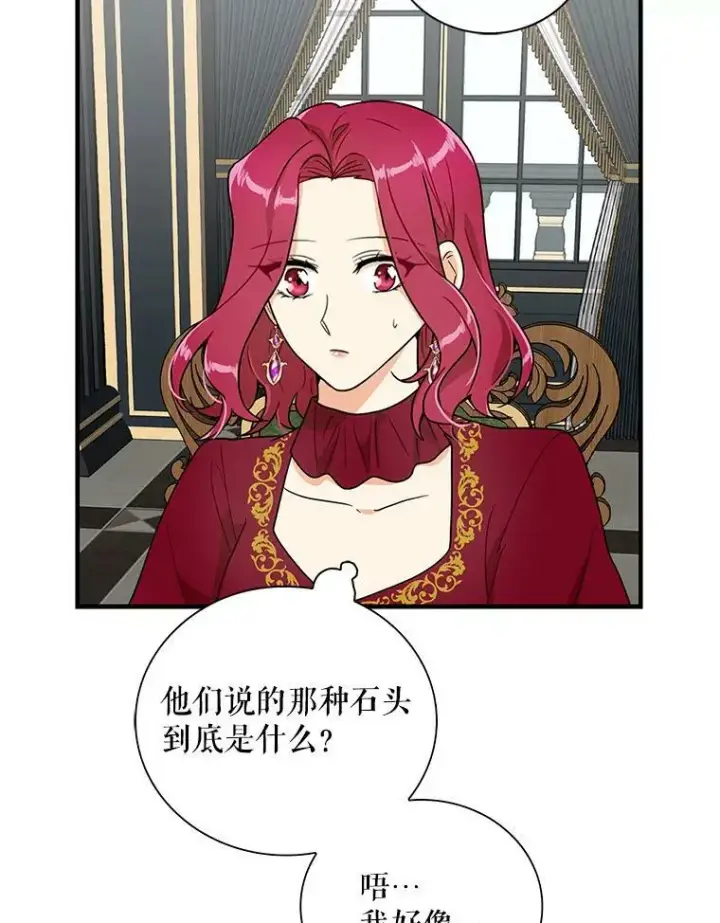 《反派的继母》61.幸福图63