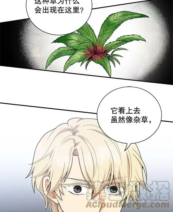 《反派的继母》61.幸福图7