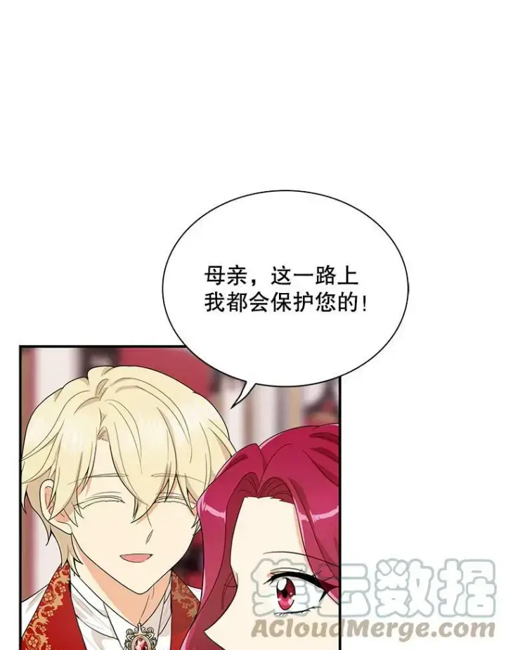《反派的继母》62.皇宫宴会图73