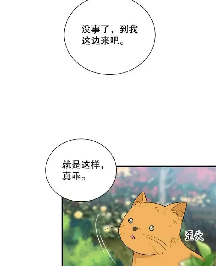 《反派的继母》67.卡丽娜和猫图50