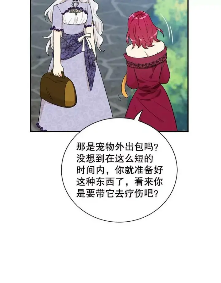 《反派的继母》67.卡丽娜和猫图66