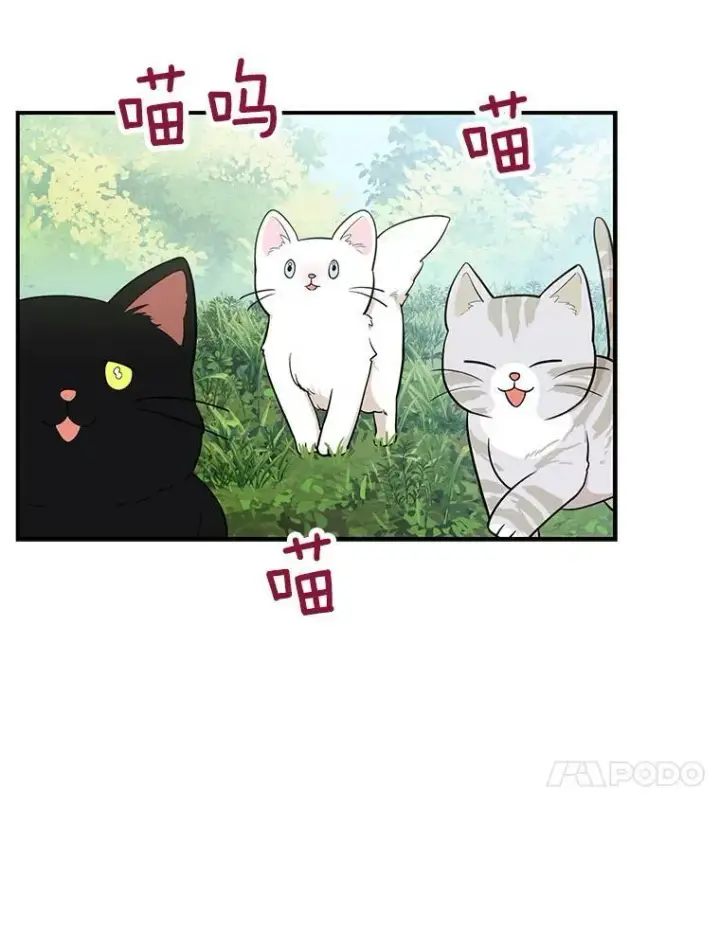 《反派的继母》68.卡丽娜的邀请函图17