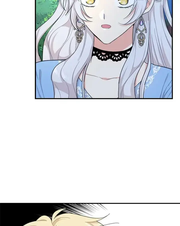 《反派的继母》70.艾斯和卡丽娜图36