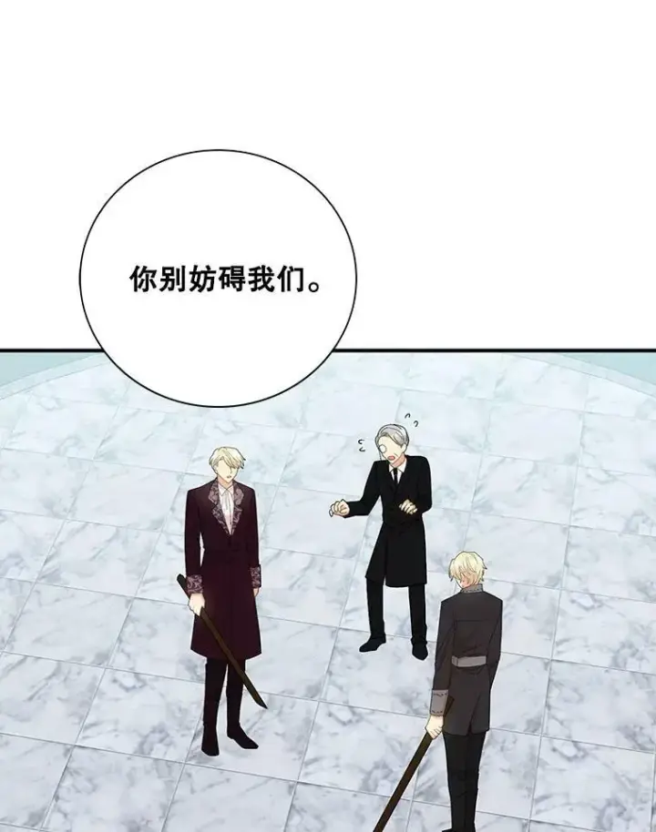 《反派的继母》78.后继无人图36