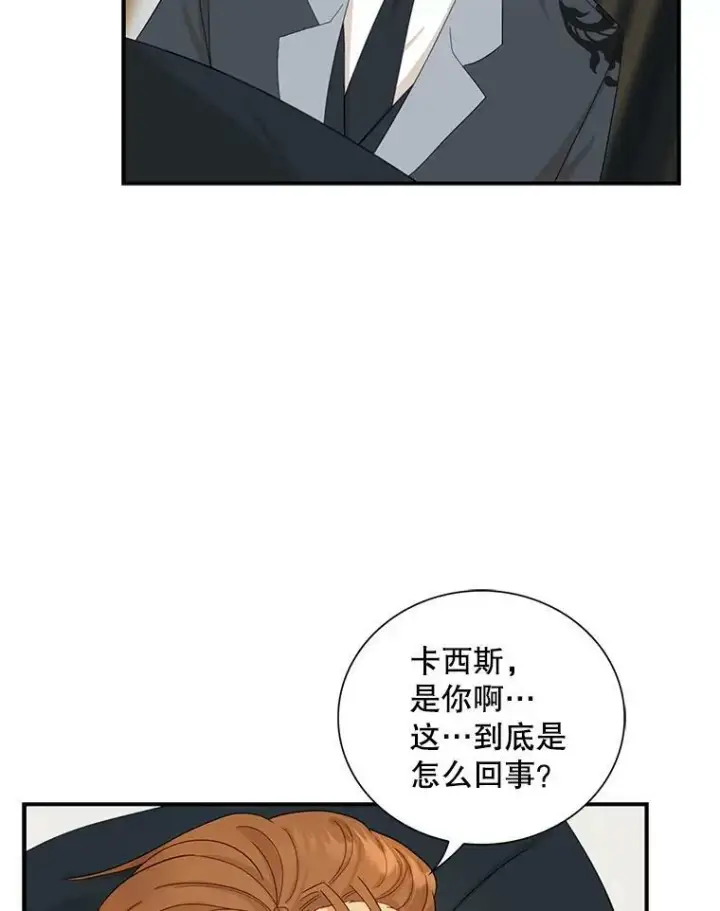 《反派的继母》82.皇帝醒了图42