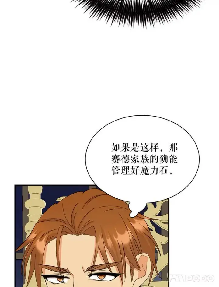 《反派的继母》86.魔力石的秘密图18