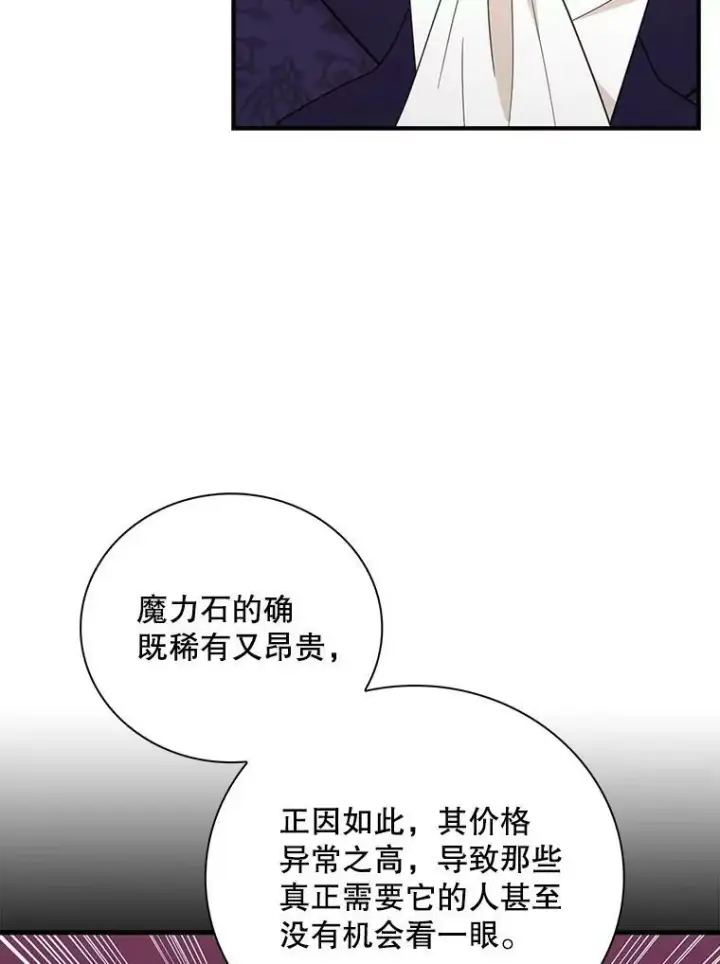 《反派的继母》88.谈判图54