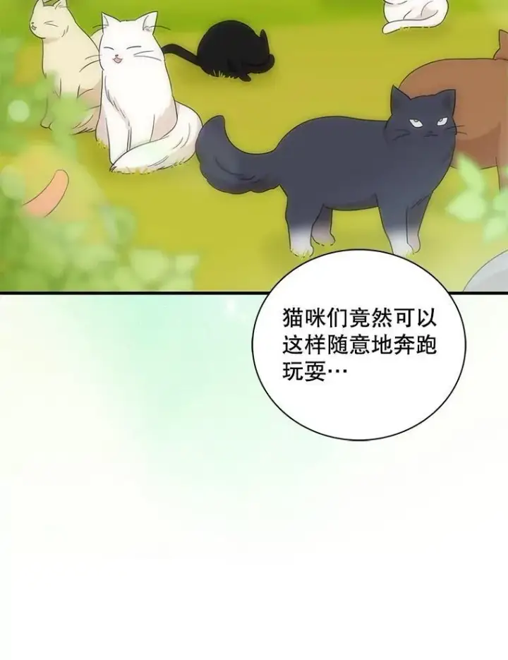 《反派的继母》96.有了答案图63