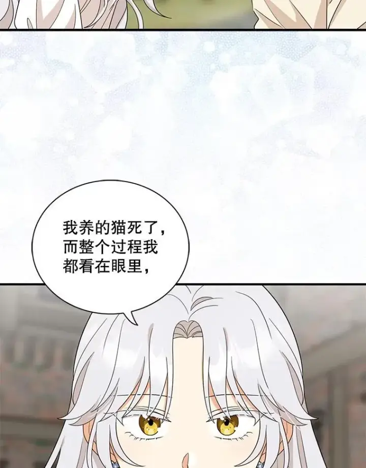 《反派的继母》97.自证清白图51