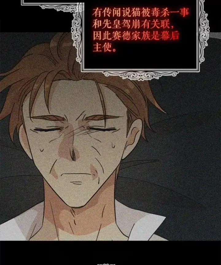 《反派的继母》97.自证清白图78